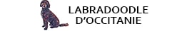 Logo petit Labradoodle d'Occitanie